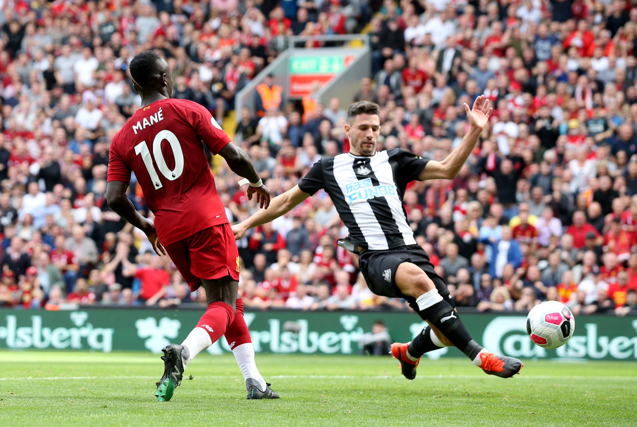 率和生态价 率和生态价